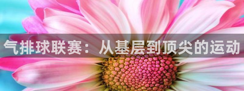 气排球联赛：从基层到顶尖的运动