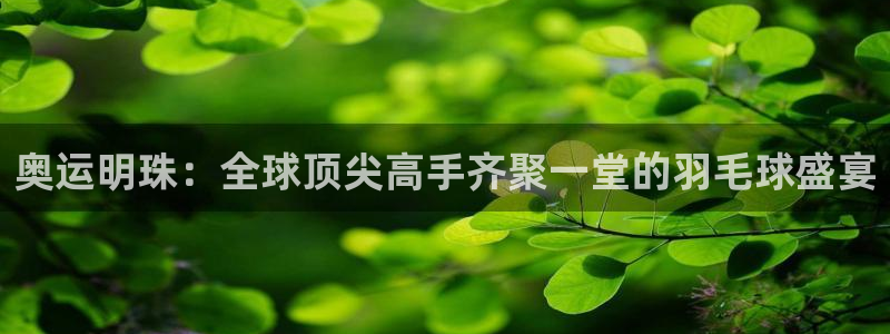 奥运明珠：全球顶尖高手齐聚一堂的羽毛球盛宴