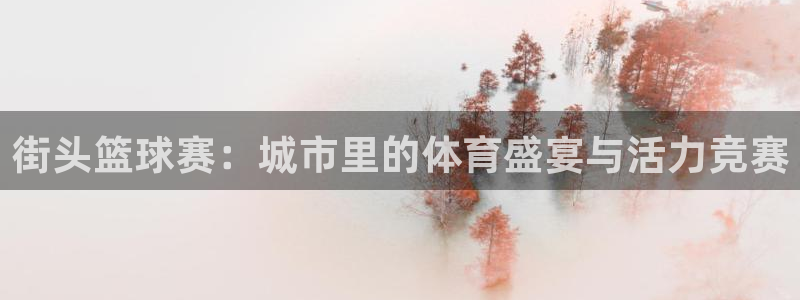 街头篮球赛：城市里的体育盛宴与活力竞赛