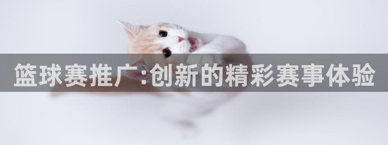 篮球赛推广:创新的精彩赛事体验