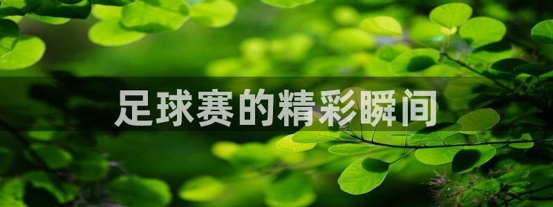 悟空体育平台下载安装：足球赛的精彩瞬间
