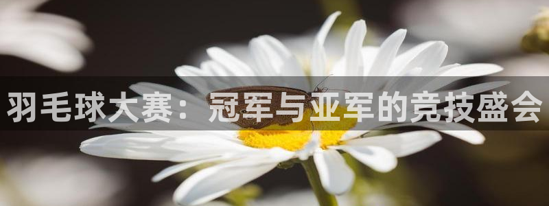 莆田悟空体育怎么样：羽毛球大赛：冠军与亚军的竞技盛会
