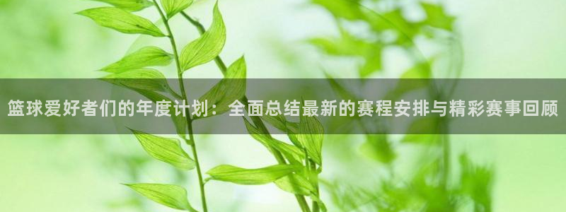 悟空体育登录网入口手机版：篮球爱好者们的年度计划：全面总结最