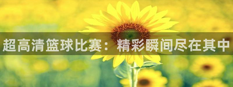 悟空体育手机app：超高清篮球比赛：精彩瞬间尽在其中